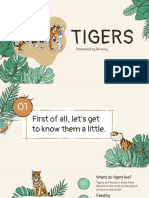 Learn About Tigers