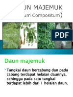 Daun Majemuk