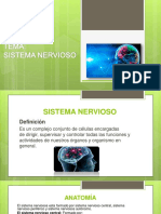 Diapositivas Del Sistema Nervioso 2