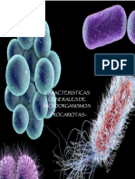 Caracteristicas Generales de Los Microorganismos PROCARIOTAS SCB