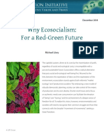Why Ecosocialism - For A Red-Green Future
