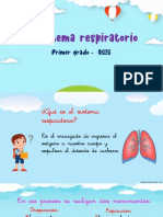 sistema respiratorio