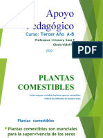 Plantas Comestibles