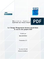 Mastere Specialise Erp Rapport de These