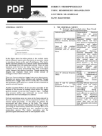 Hemispheric Organization