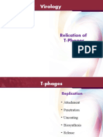 149 Relication of T-Phages