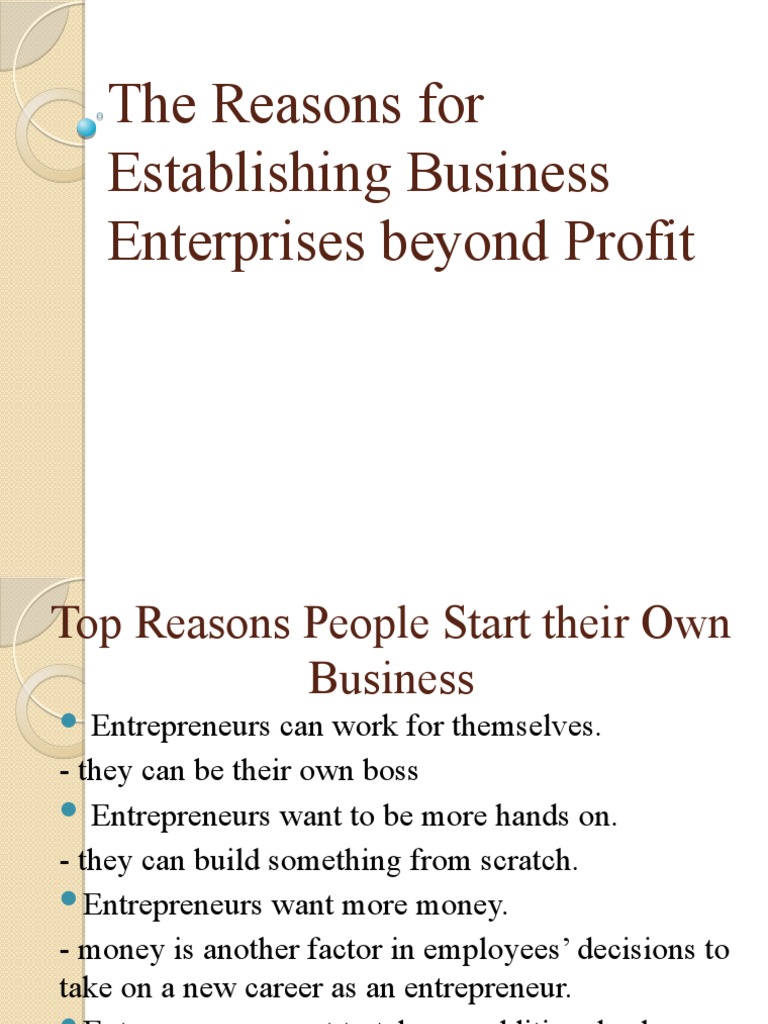Reasons for Business Beyond Profit | PDF | Entrepreneurship | Human Nature