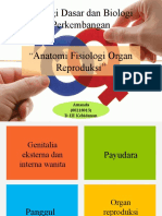 Anatomi Fisiologi Organ Reproduksi Panggul Dan Payudara