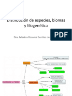 Distribución de Especies, Biomas y Filogenética