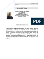 CV Luis Martin Marcano