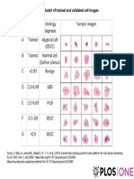 Fig 3. A Batch of Trained and Validated Cell Images