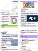 1 Anatomía Del Globo Ocular y Sus Anexos