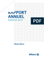Rapport_annuel_2017