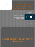 Módulo 3 - Estudio de Caso - Diagnóstico de Los Asentamientos Humanos de La Zona v de San Juan de Lurigancho