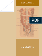 Sección I: Anatomía