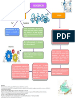 Reingenieria Mapa