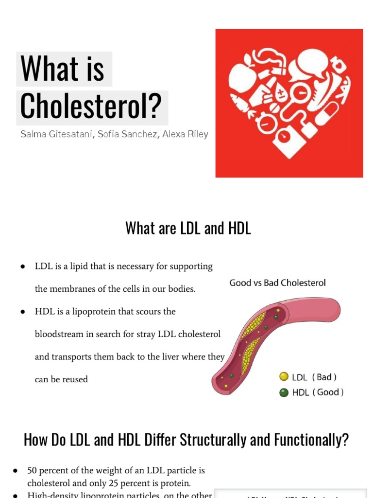 Understanding LDL and HDL Cholesterol | PDF | High Density Lipoprotein ...
