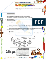 19 - Ciclos Biogeoquímicos