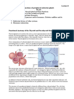 My Lecture8 - Functions of Peripheral Endocrine Glands