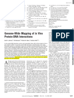 4b Interacciones DNA Proteína