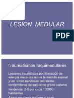 Lesion Medular