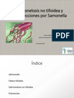 2015 06 Salmonelosis