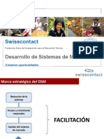 Presentación DSM al Grupo Sostenibilidad 10.02.2015