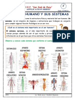 El Cuerpo Humano y Sus Sistemas Sem 15