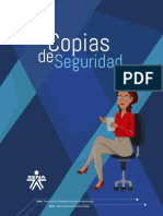 Copias de Seguridad