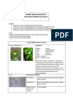 Jurnal Praktikum Struktur Morfologi Bunga