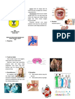 Leaflet Tonsilitis