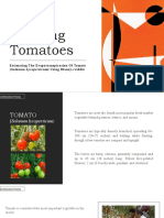 Growing Tomatoes: Estimatingthe Evapotranspirationoftomato (Solanum Lycopersicum) Using Blaney-Criddle
