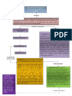 Diagrama de Flujo