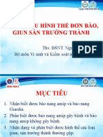 Giun San, Don Bao - THS Hà