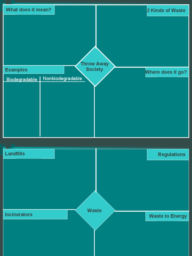 The Throw Away Society 1 PDF Landfill Municipal Solid Waste