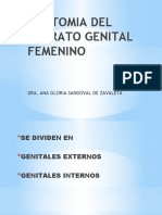 ANATOMIA DEL APARATO GENITAL FEMENINO