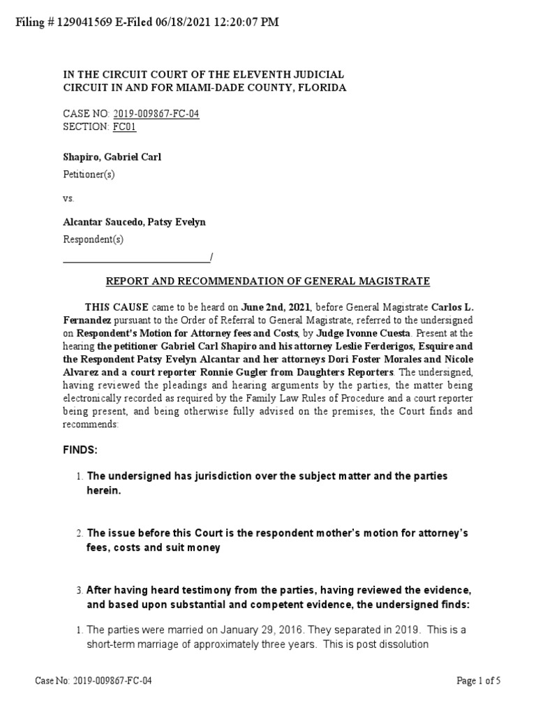 Attorney Fees PDF Attorney's Fee Lawyer