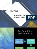 Tree Growth and Wood Formation