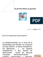 Kinefisiatria Del P Pelvico