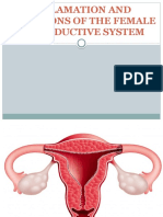 Inflamation and Infections of The Female Reproductive System