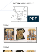 Zonas Anatòmicas Del Cuello