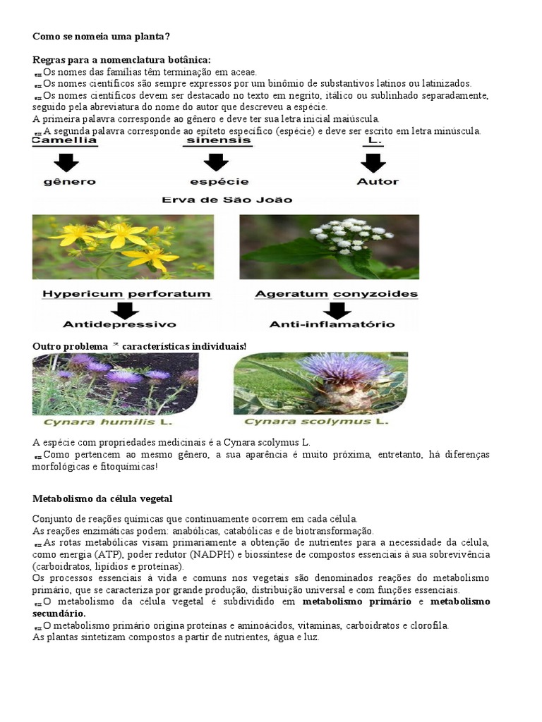 Nomenclatura e Metabolismo de Plantas | PDF | Metabolismo | Fotossíntese