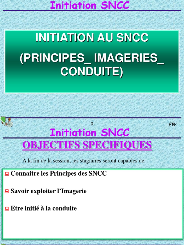 Initiation au Système SNCC | PDF | Entrée/Sortie | Automate ...