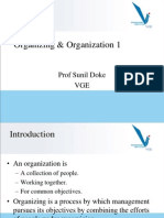 Organizing & Organization 1: Prof Sunil Doke VGE