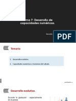 Tema 7 Desarrollo de capacidades númericas