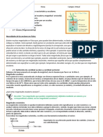 Ficha #2 Magnitudes Vectoriales y Escalares