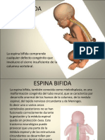 Diapo Espina Bifida