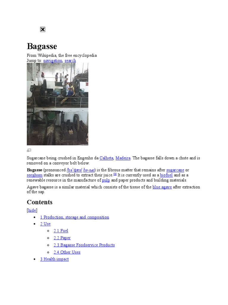 Sugar cane growing picture