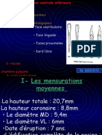 02.1-Les-Incisives-Inferieurs