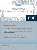 Pigmentos Animales y Vegetales